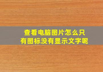 查看电脑图片怎么只有图标没有显示文字呢