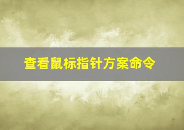 查看鼠标指针方案命令