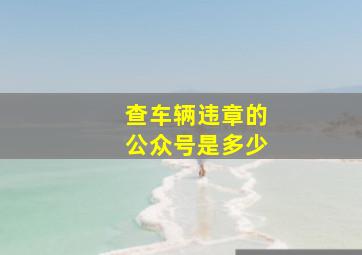 查车辆违章的公众号是多少