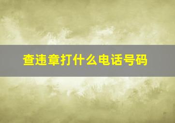 查违章打什么电话号码