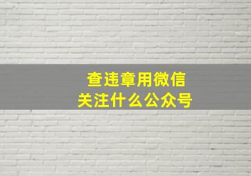 查违章用微信关注什么公众号