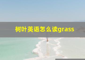 树叶英语怎么读grass