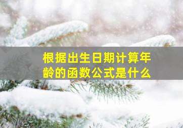 根据出生日期计算年龄的函数公式是什么