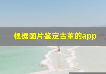 根据图片鉴定古董的app