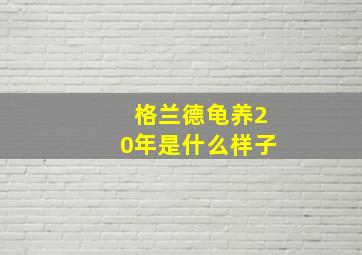 格兰德龟养20年是什么样子