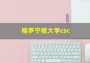 格罗宁根大学csc