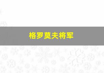 格罗莫夫将军