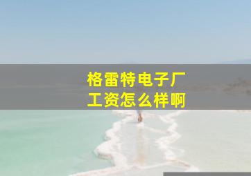 格雷特电子厂工资怎么样啊