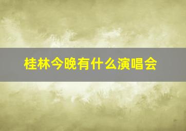 桂林今晚有什么演唱会