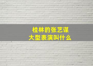 桂林的张艺谋大型表演叫什么