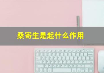 桑寄生是起什么作用