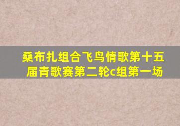 桑布扎组合飞鸟情歌第十五届青歌赛第二轮c组第一场