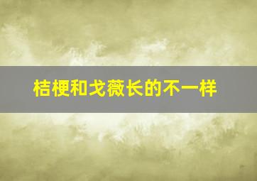 桔梗和戈薇长的不一样