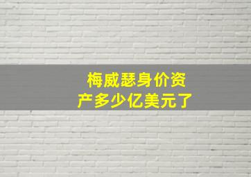 梅威瑟身价资产多少亿美元了