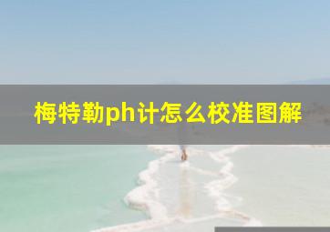 梅特勒ph计怎么校准图解