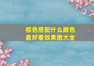 棕色搭配什么颜色最好看效果图大全