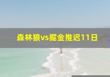 森林狼vs掘金推迟11日