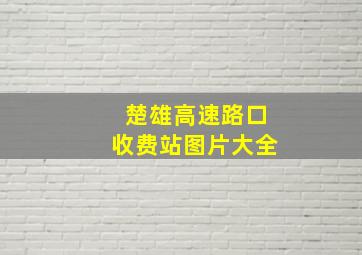 楚雄高速路口收费站图片大全