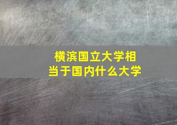 横滨国立大学相当于国内什么大学