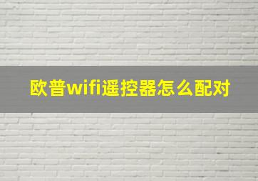 欧普wifi遥控器怎么配对