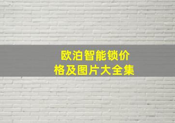 欧泊智能锁价格及图片大全集