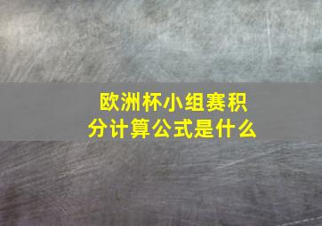 欧洲杯小组赛积分计算公式是什么