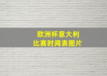 欧洲杯意大利比赛时间表图片