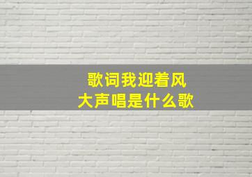 歌词我迎着风大声唱是什么歌