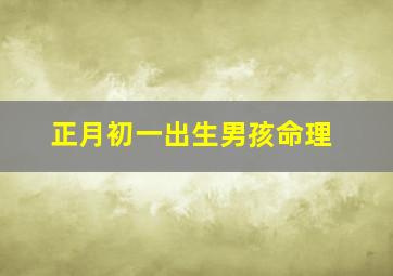 正月初一出生男孩命理