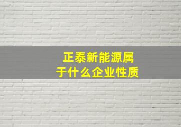 正泰新能源属于什么企业性质