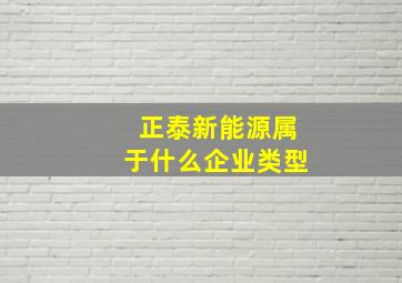 正泰新能源属于什么企业类型