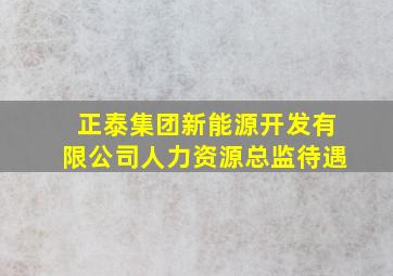 正泰集团新能源开发有限公司人力资源总监待遇