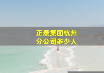 正泰集团杭州分公司多少人