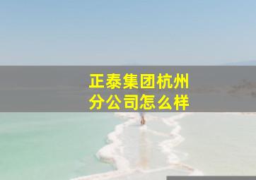 正泰集团杭州分公司怎么样