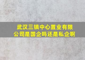 武汉三镇中心置业有限公司是国企吗还是私企啊