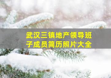 武汉三镇地产领导班子成员简历照片大全