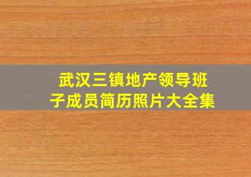 武汉三镇地产领导班子成员简历照片大全集