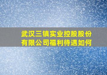 武汉三镇实业控股股份有限公司福利待遇如何