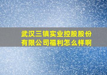 武汉三镇实业控股股份有限公司福利怎么样啊