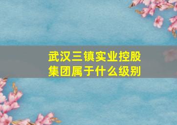 武汉三镇实业控股集团属于什么级别