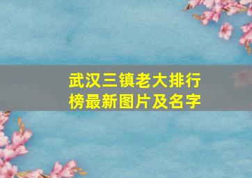 武汉三镇老大排行榜最新图片及名字