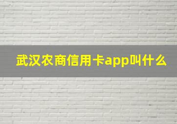 武汉农商信用卡app叫什么