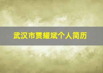 武汉市贾耀斌个人简历