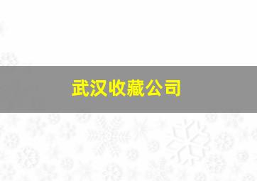 武汉收藏公司