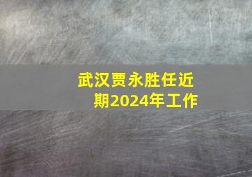 武汉贾永胜任近期2024年工作