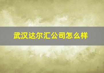 武汉达尔汇公司怎么样