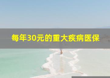 每年30元的重大疾病医保