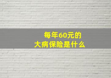 每年60元的大病保险是什么