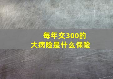 每年交300的大病险是什么保险