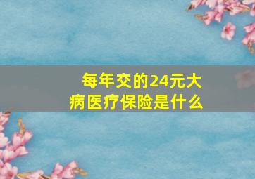 每年交的24元大病医疗保险是什么